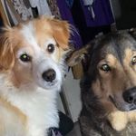 Terry Pagan - @terry.pagan.143 - Instagram