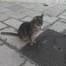 Teresa Palmisano - Facebook