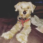 @terrypalmisano2021 - Instagram
