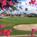 Terry Palumbo - Facebook