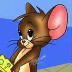 Terry Palumbo - @minou61.tp - Instagram