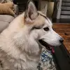 terrypanetta - @terrypanetta - TikTok