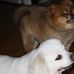 Terrie Pankey - Facebook