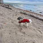 Terry Parkinson - @terryparkinson - Instagram