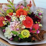 Terry's Flower Patch - @terrys_flower_patch - Instagram