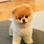 terry paxton - @paxton4375 - Instagram