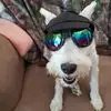 Terry White Paxton - @terry.white.paxto - TikTok