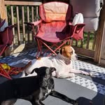 Terry Peach - @t.morell0160 - Instagram