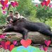 Terry Peavy - Facebook