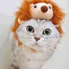 peeplesterry - @peeplesterry - TikTok