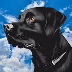 Terry Pets - @terry_pets - Instagram