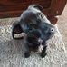 Terry Pepple - Facebook
