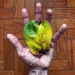 Terry Pera - @terrypera50 - Instagram