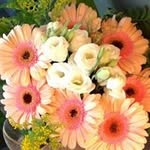 Terry Perrone - @perroneterry - Instagram