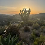 Terry Lee Pfaff - @pfaffterry - Instagram