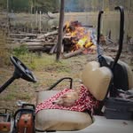 Terry Pickens - @pickens2474 - Instagram