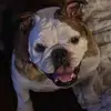 Lil Miss Roxy - @terrydenisepilon - TikTok