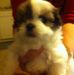 Terry Pilon - Facebook