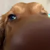 misspiperterry - @misspiperterry - TikTok