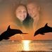 Teresa Pitzer - Facebook