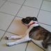 Terry Place - Facebook