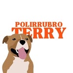 POLIRRUBRO TERRY 🐶 - @terry.polirrubro - Instagram