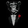 Terry Pontius - @terry.pontius - TikTok