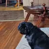 Terry Post - @terry.post1 - TikTok