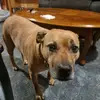 terry post - @terry.post5 - TikTok