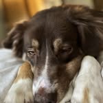 Terry Postel - @postelterry - Instagram