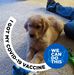 Theresa Predmore - Facebook