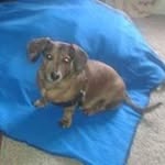 Terry Prentice - @stompydog_ - Instagram