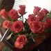 Theresa Prentice - Facebook