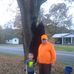 Terry Prince - Facebook