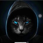 Terry Prince - @terryprince19 - Instagram