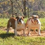 Terry Proffitt - @terryleeproffitt - Instagram