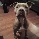 Terry Proffitt - @terry_proffitt_ - Instagram
