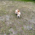 Terry Provost - @provost.terry - Instagram