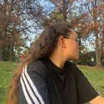 Terry Prunella - @prunellaterry - Instagram
