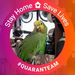 Terry Pugmire - Facebook