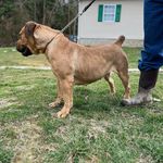 Terry Qualls - @terryqualls.tq - Instagram