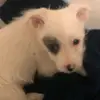 Terry - @terryquinto - TikTok