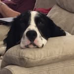 Terri Floyd Ragland - @tfragland2020 - Instagram