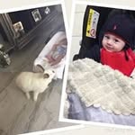 Terry Randazzo - @terryrandazzo - Instagram