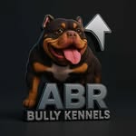 Terry Raper - @abrbullykennel_backup - Instagram