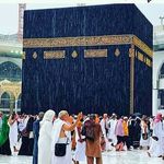 Terry Rashid - @rashid_terry - Instagram