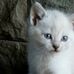 Terry Rauscher - Facebook