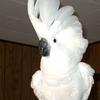 Terry Raymer121 - @terryr2525 - TikTok