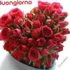 ❤️Teresa_byready❤️ - @terry_byready01 - TikTok