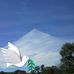 Terry Reams - Facebook